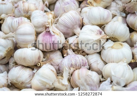 White garlic pile texture. Fresh garlic on market table closeup photo.