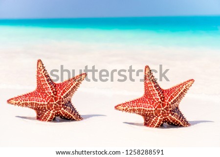 Panorama view of tropical beach with a beautiful red starfish in white sand