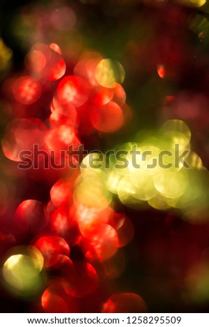 red and green bokeh christmas celebrities