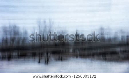 winter forest landscape in blur