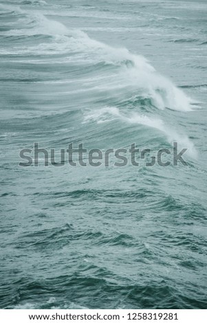Ocean waves in California