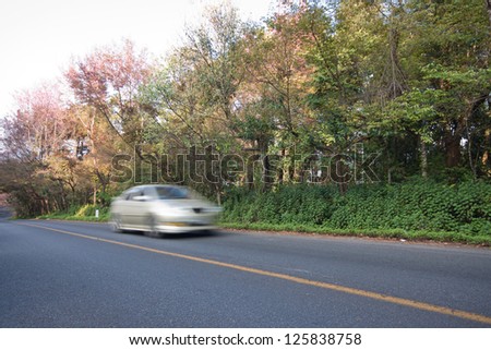 Car On The Road