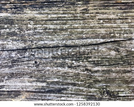 Wooden surface with signs of mold and old age.