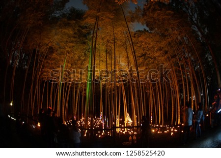 Small-diameter light-up of the bamboo grove (small desk Castle forest of citizen)