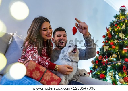 Christmas gifts and happiness between a young couple and a cute dog. Couple spending Christmas eve at home. Girl holding dog. Christmas holidays concept.