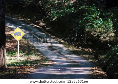 A old slope asphalt countryroad from a rainforest hill that have one traffic warning sign.