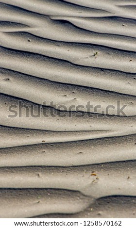 the texture of sand. Location is Sand dunes in california 