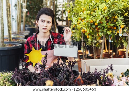 Distressed young woman florist is unhappy because dried plant is dead from too strong insolation, Holding blank banner