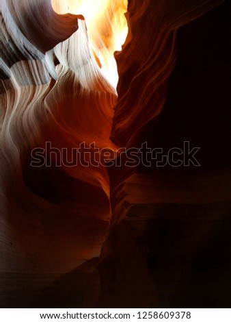 The antelope valley in Utah, sun light up stocks and glow on them