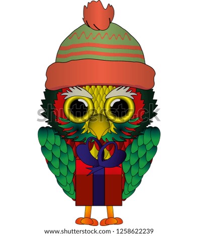 owl colour vector