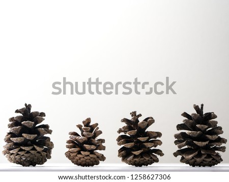 Several brown pine cones standing upright from side profile sitting on a shelf or ledge isolated on a white wall background making a beautiful winter or Christmas holiday background.