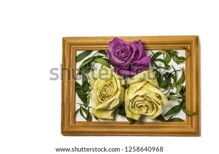 three dry roses with leaves, two white roses, one pink rose, inside a wooden frame on a white background
