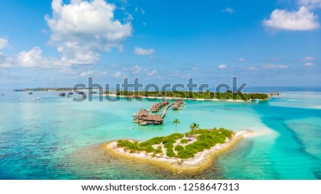 Tropical island with luxury resorts in Maldives from aerial view Royalty-Free Stock Photo #1258647313