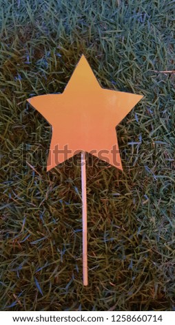 yellow-orange paper star with a wooden stick on a background of green lawn grass