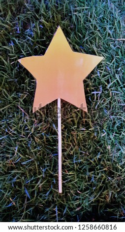 yellow-orange paper star with a wooden stick on a background of green lawn grass
