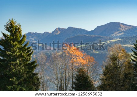 autumnal atmosphere in the Allgaeu mountains near Oberstaufen, Bavaria, Germany