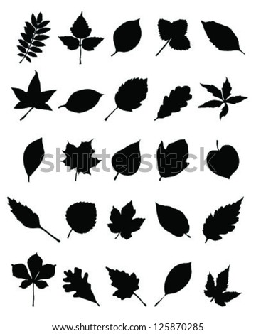 Set of silhouettes of foliage-vector