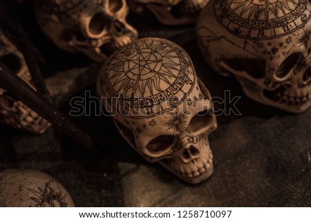 Lots of human skulls. Photo skulls. Beautiful skull