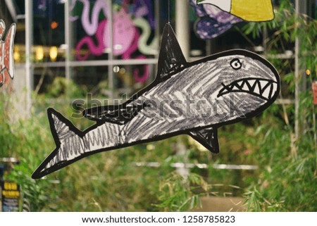 The picture of shark