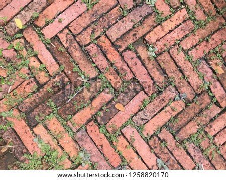 Red brick walkway background