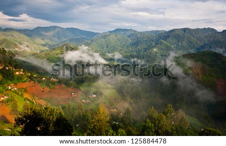 Beautiful landscape in southwestern Uganda, at the Bwindi Impenetrable Forest National Park. The Bwindi National Park is a UNESCO-designated World Heritage Site, home of the mountain gorillas. Royalty-Free Stock Photo #125884478