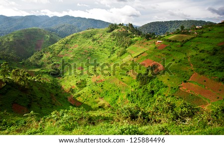 Beautiful landscape in southwestern Uganda, at the Bwindi Impenetrable Forest National Park. The Bwindi National Park is a UNESCO-designated World Heritage Site, home of the mountain gorillas. Royalty-Free Stock Photo #125884496