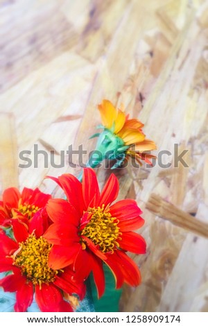 Zinnia flowers in the form of a clear face after the background blurred. Suitable for background and card ideas on various occasions.