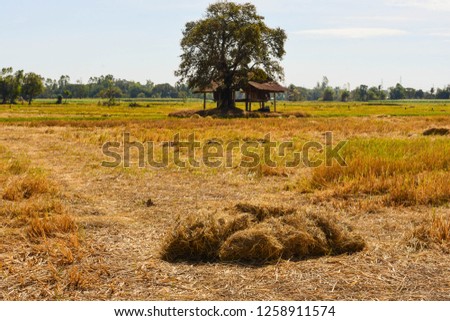 The shelter was abandoned in the dry season after the northeastern part of Thailand. Southeast Asia
