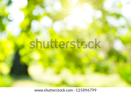 Abstract nature background