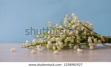 Beautiful spring bouquet of fresh lilies of the valley flowers lying on light table on blue background. Greeting card for women's or mother's day. Holiday concept