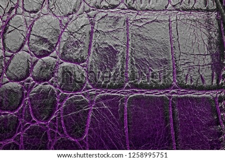 Violet crocodile skin texture background, closeup.