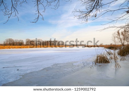 Winter landscape. Frozen river, forest in the distance, dry sedge and blue cloudy sky