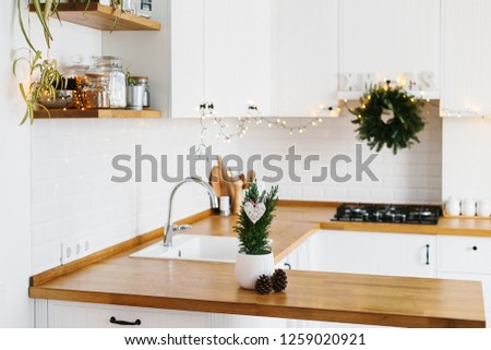 Small Christmas tree in white flower pot white modern kitchen scandinavian style decorated for Christmas background. Cypress, Chamaecyparis lawsoniana Ellwoodii