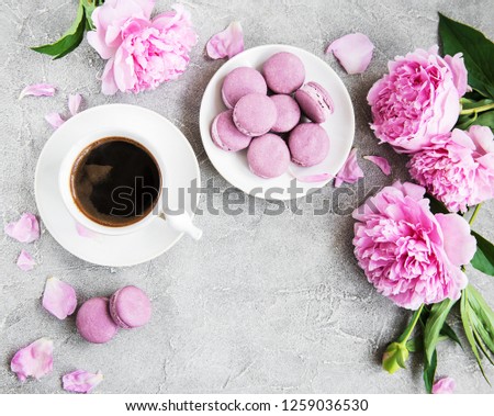 Pink peony with coffee and macarons on a concrete background