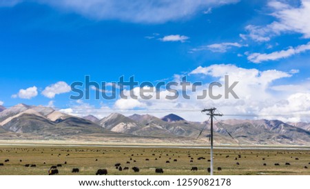 View of grass filed on east side of the  Nyenchen Tanglha Mountains range in Damxung(Dangxiaong) County, Lhasa, Tibet, China.