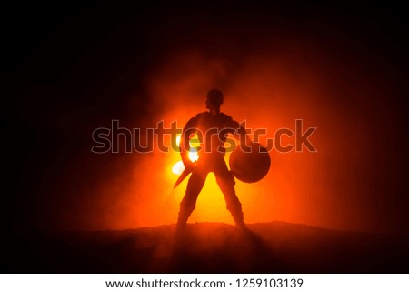 Medieval battle scene. Silhouette of warrior on dark toned foggy background. Night scene. Selective focus