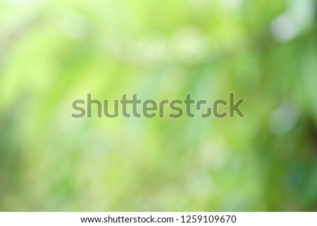 Green bokeh on nature defocus art abstract blur background and sunlight