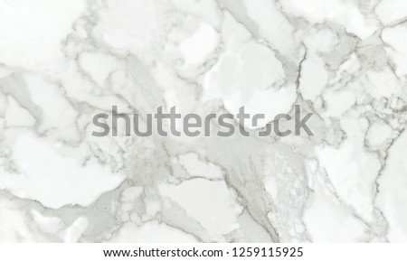 white marble texture and background