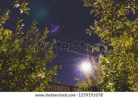 Summer starry sky, bright glowing street lamp and tree branches with green leaves. Nature theme