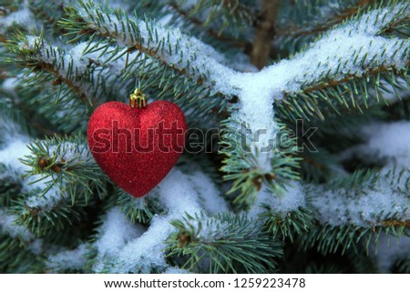 Christmas decoration heart on a snow-covered blue spruce. Symbol of love, Valentine's Day, romance. New Year, Christmas or Valentine's Day background. Christmas heart concept.