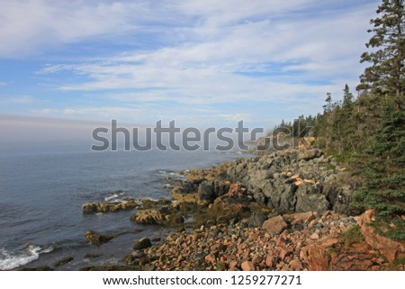 The rugged coast of Acadia National Park, Maine, bathed in early morning light in summer.