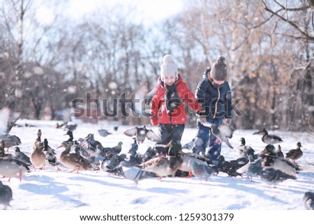 children feed birds in the park in winter
