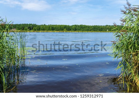 blue sky white clouds over calm body of water in summer with green foliage, trees and grass on the shores