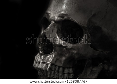 skull on black background.