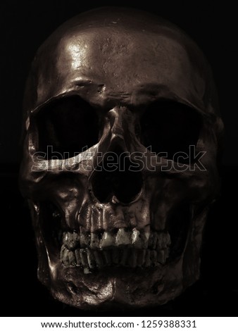 skull on dark background.