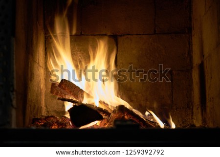                             Logs are burning in fireplace. Copy space.   
