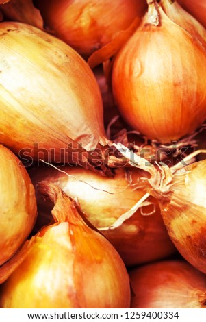  Ripe onions. Macro image.