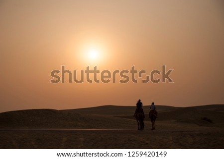 camel with sun in background orange color