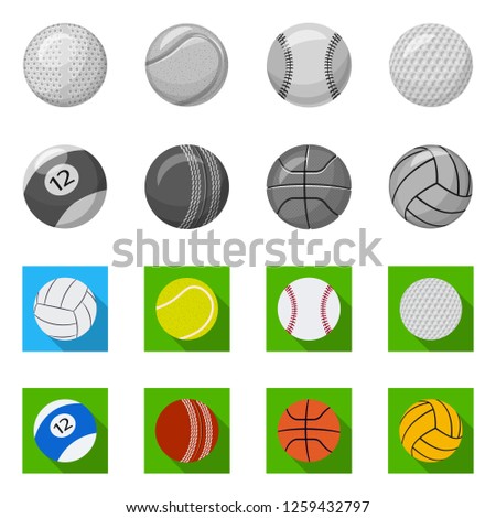 Isolated object of sport and ball sign. Collection of sport and athletic vector icon for stock.