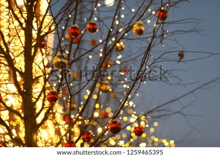 city christmas seasonal decoration trees